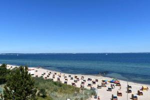 Villa Seestern Ferienwohnung Nr 02