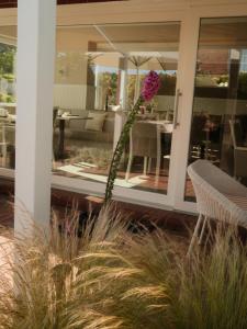 Hotelpension Sanders Höft - Direkt am Strandaufgang