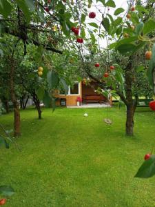 Agroturystyka W kurniku z jacuzzy