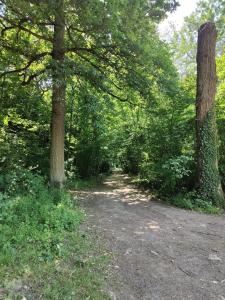B&B / Chambres d'hotes L'Escapade Enchantee Paris-Disneyland : Appartement - Vue sur Jardin
