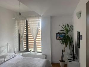 Lovely Apartment in Villa in Bucharest