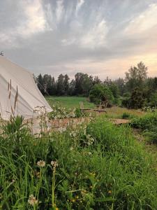 Glamping Kotitila Kiveinen