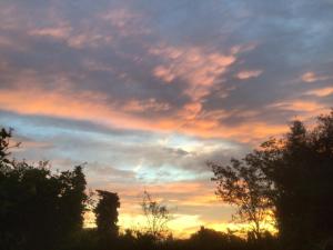 Appartements Beautiful tranquil apartment close to the sea : photos des chambres