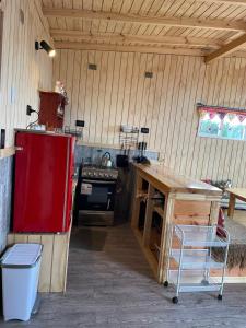 CABAÑA ORO RAYADO PUERTO MONtt