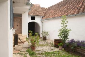 dasFritsch-Historisches Weinbauernhaus im Grünen