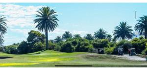 BEACH FRONT BEAUTY 50 meters from beach sand