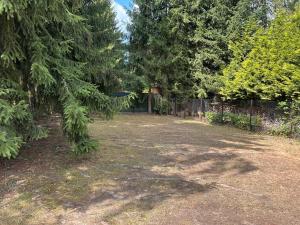 Solo tábořiště, kemp u vody, Nová Živohošť