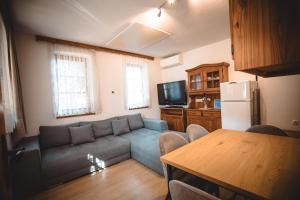 POČITNIŠKI APARTMAJI - Sunny apartment in Moravske Toplice