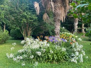 B&B / Chambres d'hotes Le Mas Ferrand : photos des chambres