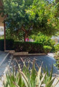 Vasilios Marinos Rooms