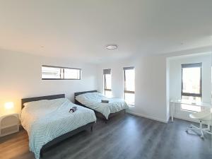 Spacious and Modern Family Room with Attached Bathroom - NR7