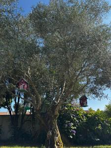 Maisons de vacances Superbe villa 6 personnes proche ocean et lac : photos des chambres