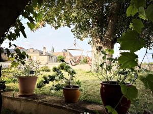 Maisons d'hotes La Tour Beurdelaine : photos des chambres