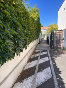 Maisons de vacances Les Suites d'Alienor-Suite Mimosa : photos des chambres