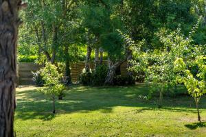 Maisons de vacances Maison en pierre, piscine et jardin proche mer : photos des chambres