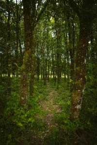 Longford Holiday Yellow Star Self-Catering Cottage