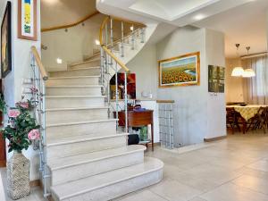 Villa con piscina e palestra a Rimini