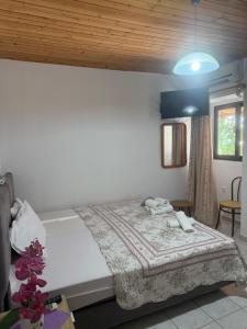 AVRA Rooms