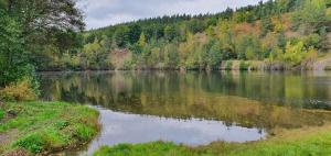 Domek s koupanim ve 200m vzdálenem lomu