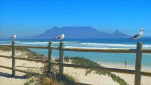 Beachfront Studio Flat