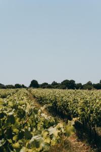 Campings Camping L-oree des Bois - ATC Routes du Monde ATC - Saint-Pierre d-Oleron : photos des chambres