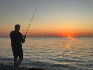 Maisons de vacances comme un poisson dans l'eau : photos des chambres