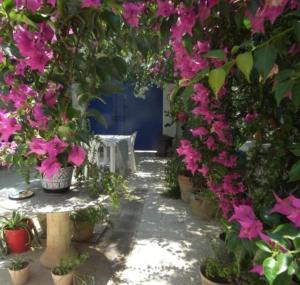 The 18, Marsa Guest House