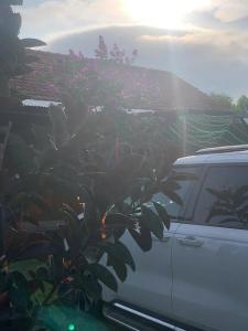 Mâys garden camping