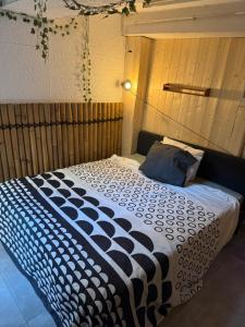 Appartements Appartement avec Jaccuzi & Jardin : photos des chambres