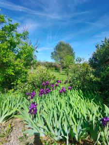 Villas Villa l-Olivaie : photos des chambres