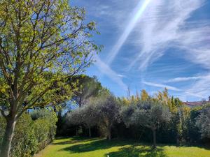 Villas Villa l-Olivaie : photos des chambres