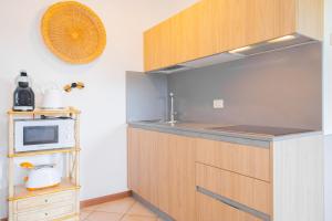 Fantastic lake view, swimming pool - Belvedere