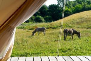 B&B / Chambres d'hotes La Santon Chambres d'hotes : photos des chambres