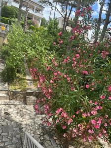 Apartmani Selce za 2-3 osobe