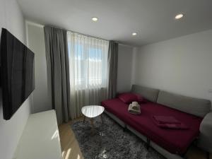 APARTAMENT ULTRACENTRAL,PARCARE PRIVATA,WiFi