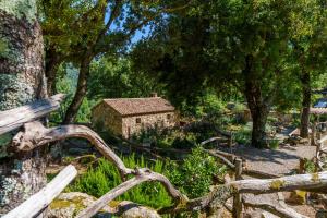 Maisons de vacances LA PAUSE - 3 villas avec Jacuzzi privatif a chisa : photos des chambres