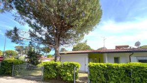 Apartment in Bibione 54648