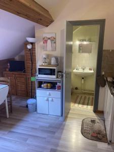 Studio CENTRE Mont Dore, Volière des Pics 2pers15m2 parking Gratuit chemin randonnée