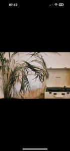 Maisons de vacances LA PAUSE - 3 villas avec Jacuzzi privatif a chisa : photos des chambres