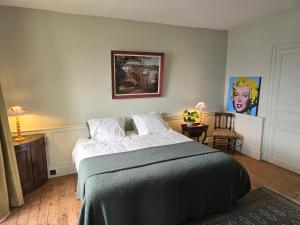B&B / Chambres d'hotes Chateau de La Coliniere - Vue sur Loire : photos des chambres
