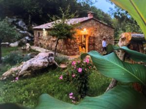 Maisons de vacances LA PAUSE - 3 villas avec Jacuzzi privatif a chisa : photos des chambres