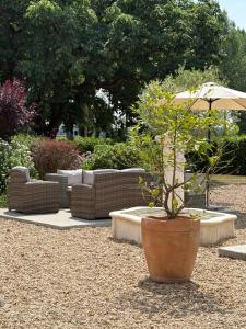 B&B / Chambres d'hotes Les Peupliers Loire : photos des chambres