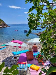 Apartman Oaza mira Ivana