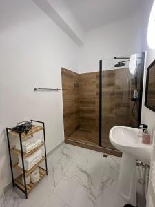 Central Camelia Loft in Cluj