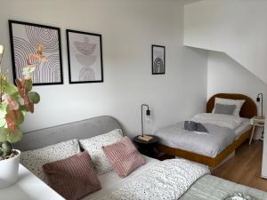 Dębina Lounge 54 Apartamenty