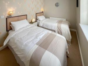 Driftwood At Whitehall