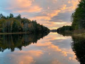 MoonLight Treehouse At Belgrade Hospitality