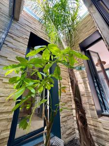 Villas Villa la Caladine in a quiet location : photos des chambres