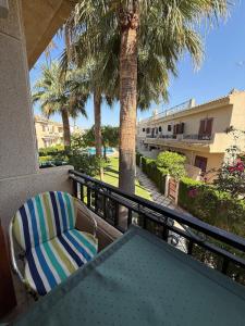 among palm trees in Playa Flamenca