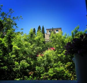 The Foria House by House In Naples